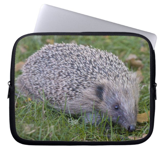 Housse pour ordinateur portable Prickles (Devant)