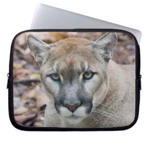 Housse Pour Ordinateur Portable Puma, lion de montagne, panthère de Floride, Puma