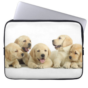 Housse Pour Ordinateur Portable Pupin doré du Labrador