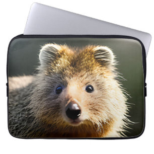 Housse Pour Ordinateur Portable Quintin Le Ginger Quokka, Manche Ordinateur Portab