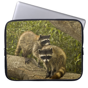 Housse Pour Ordinateur Portable Raccoons