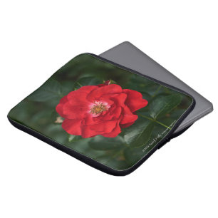 Housse Pour Ordinateur Portable Rose rouge P6568