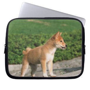 Housse Pour Ordinateur Portable Shiba miniature japonais 2