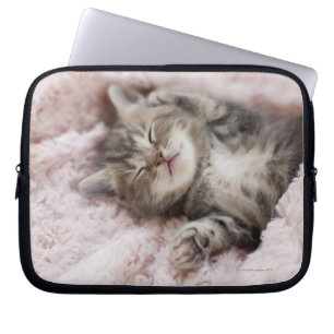 Housse Pour Ordinateur Portable Sommeil de chaton