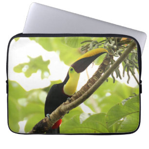 Housse Pour Ordinateur Portable Swainson Toucan