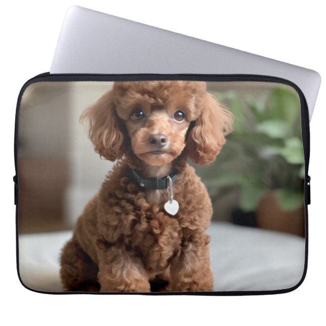 Housse Pour Ordinateur Portable Teacup Poodle 2 (Devant)