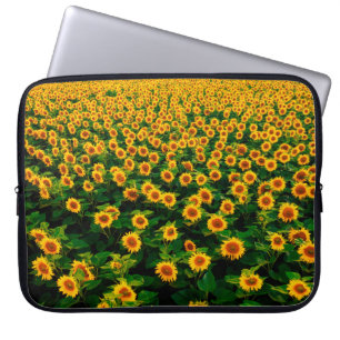 Housse Pour Ordinateur Portable Terrain avec des tournesols jaune vif par jour ens