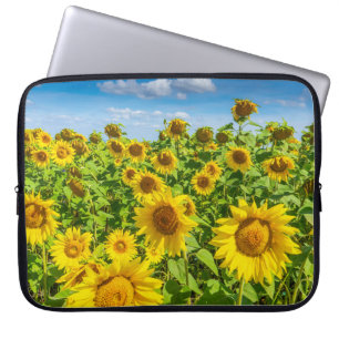 Housse Pour Ordinateur Portable Terrain de tournesol, ensoleillé l'été.