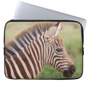 Housse Pour Ordinateur Portable Tête de zèbre bébé, Tanzanie