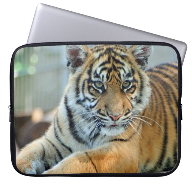 Housse Pour Ordinateur Portable Tigre 034 (Devant)