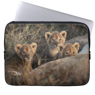 Housse Pour Ordinateur Portable Trio de lionceaux avec leur mère