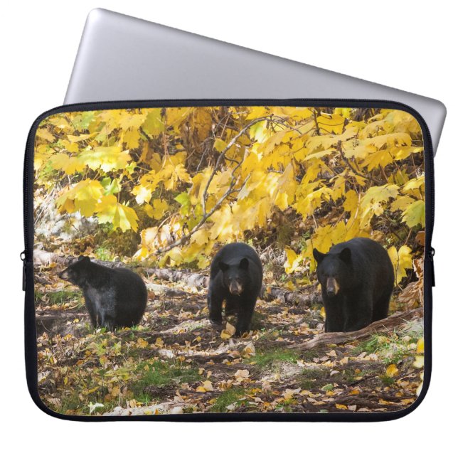 Housse Pour Ordinateur Portable Trois ours (Devant)