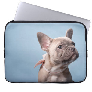Housse Pour Ordinateur Portable Un joli chien de taureau français