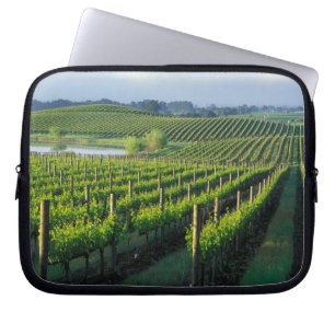 Housse Pour Ordinateur Portable Vignes en rangées nettes dans le Napa en Californi