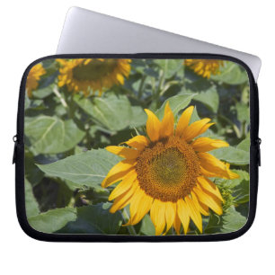 Housse Pour Ordinateur Portable WA, comté de Kittitas, champ de tournesols