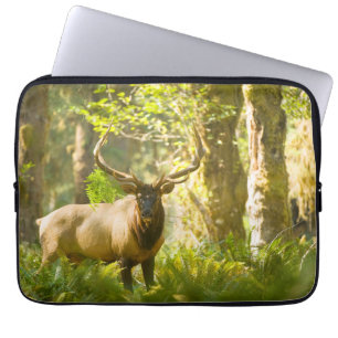 Housse Pour Ordinateur Portable Wapiti de Roosevelt Parc national Olympique, Was