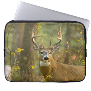Housse Pour Ordinateur Portable Whitetail Deer Buck   Whitefish, Montana