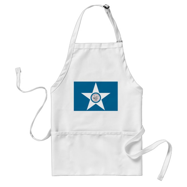 Houston Flag Schürze (Vorne)