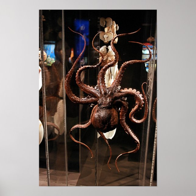 Houston Museum of Natural Science Poster (Vorne)