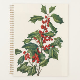 Houx de Noël Classique avec Baies Rouges Art