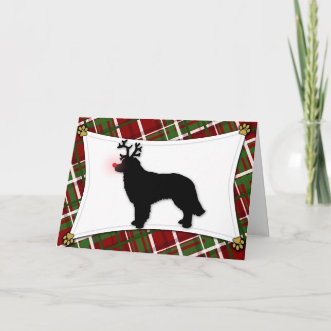 Hovawart Reindeer Weihnachtskarte Feiertagskarte (Vorderseite)