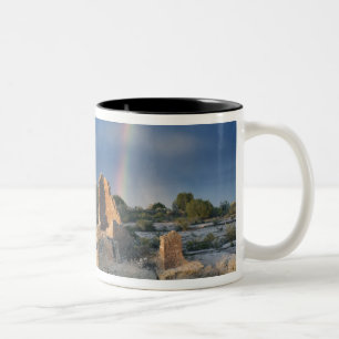 Hovenweep Castle, Hovenweep National Monument, Zweifarbige Tasse