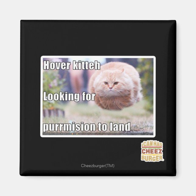 Hover kitteh magnet (Vorne)