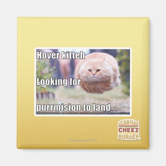 Hover kitteh magnet (Vorne)