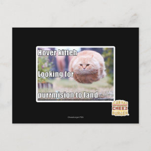 Hover kitteh postkarte