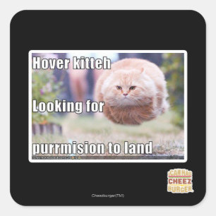 Hover kitteh quadratischer aufkleber
