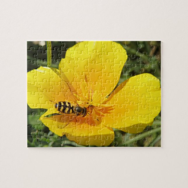Hoverfly and Blume Puzzle (Horizontal)