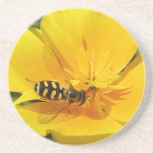 Hoverfly auf Blume-Untersetzer Sandstein Untersetzer