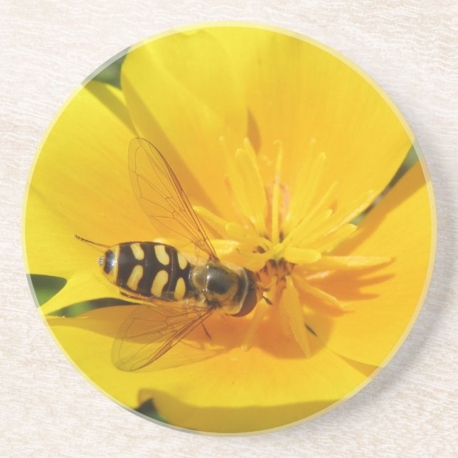 Hoverfly auf Blume-Untersetzer Sandstein Untersetzer (Vorne)