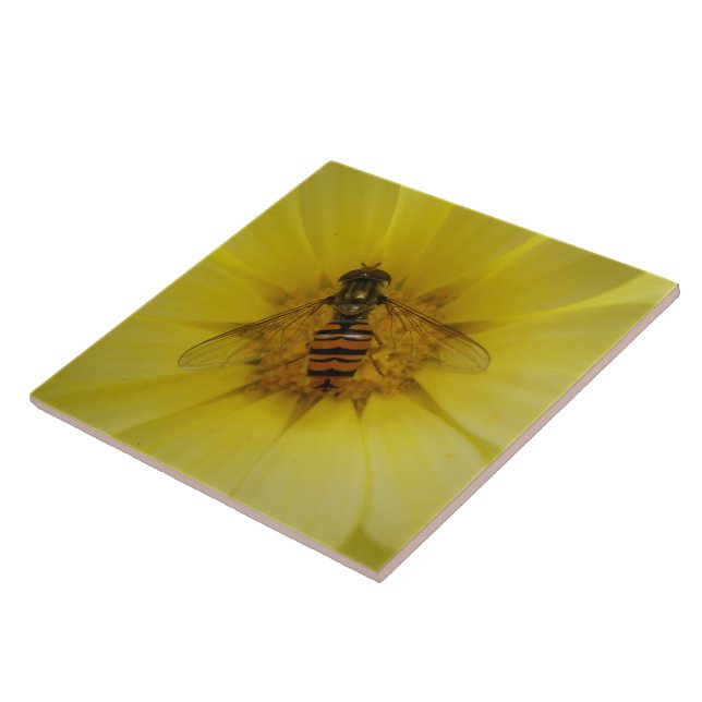 Hoverfly auf der Marigold Tile Fliese (Seite)