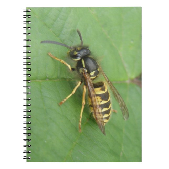 Hoverfly auf einem Leaf-Notebook Notizblock (Vorderseite)