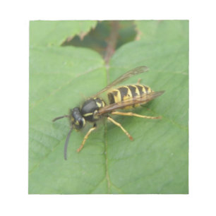 Hoverfly auf einem leaf Notepad Notizblock