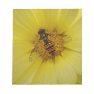 Hoverfly auf einem Marigold Notepad Notizblock