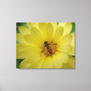 Hoverfly auf einer Marigold Canvas Print Leinwanddruck