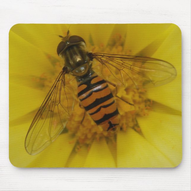 Hoverfly auf einer Marigold Mousepad (Vorne)