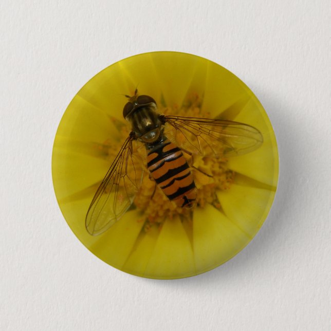 Hoverfly auf einer Marigold-Taste Button (Vorderseite)