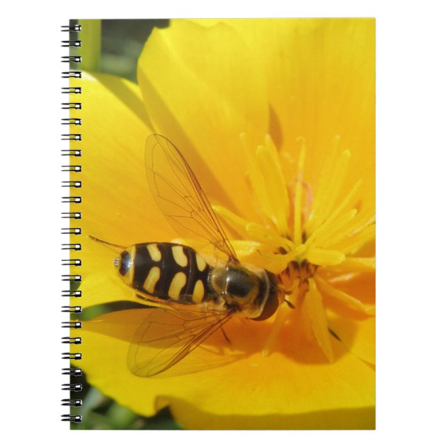 Hoverfly et Carnet aux fleurs (Devant)