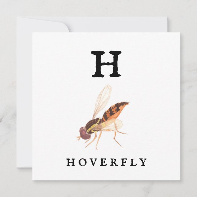 Hoverfly Karte (Vorderseite)