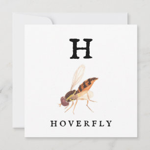 Hoverfly Karte