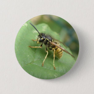 Hoverfly-Macintosh Button