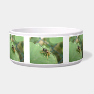 Hoverfly Macro Dog Bowl Napf