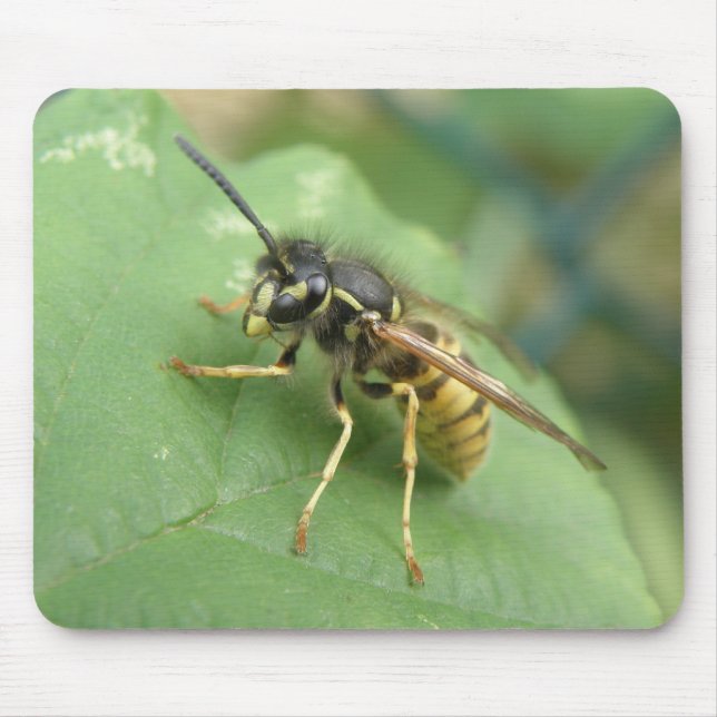 Hoverfly Macro Mousepad (Vorne)
