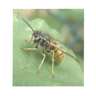 Hoverfly Macro Notepad Notizblock