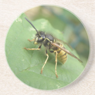 Hoverfly Macro Untersetzer