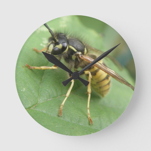 Hoverfly Macro Wall Clock Runde Wanduhr (Vorderseite)