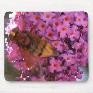 Hoverfly Mousepad